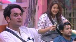 Bigg Boss 13: Mastermind Vikas Gupta feels Sidharth Shukla, Shehnaaz Gill are madly in love. Watch p