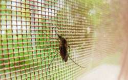 Chemically treated mosquito nets to fight Malaria in Manipur