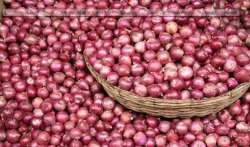 Ruckus in LS over onion prices, remarks on PM, Nirmala