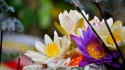 Vastu Shastra Tips: Know why flowers offered in temple should be removed before evening