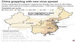 Coronavirus death toll in China rises to 41 as epidemic spreads overseas despite quarantine