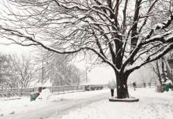 Sunny morning after snowfall, Orange warning for January 12 in Himachal Pradesh