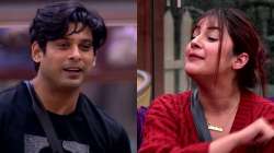 Bigg Boss 13 Promo: Has Shehnaaz Gill fallen in love with Sidharth Shukla?