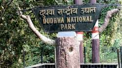 UP: 55-year-old farmer's half-eaten body found at Dudhwa National Park