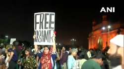 The poster reading Free Kashmir at a protest at Mumbai's Gateway of India