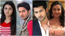 Happy Republic Day 2020: What it means to TV actors