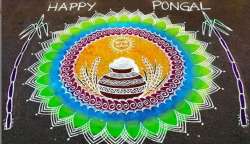 Kolam, Rangoli, pongal