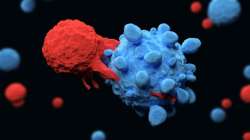 New T-cells killed all cancers without touching healthy cells