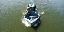 Marine scientists demand trawler ban within 12 nautical miles