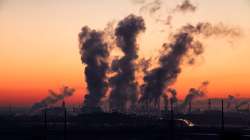 India may face kidney diseases due to air pollution