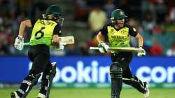 australia, alyssa healy, australia womens team, t20 world cup, womens t20 world cup, womens t20 wc