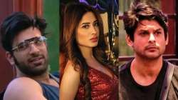 Mahira Sharma thanked Paras Chhabra Sidharth Shukla