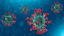 Coronavirus: WHO gives an official name 'COVID-19' to the deadly disease