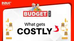 Budget 2020: What gets costly