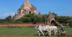 Myanmar bagan pornographic video