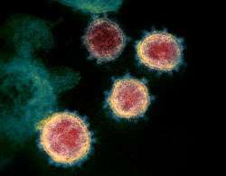 Coronavirus impact: 10 percent recovered patients in Wuhan test coronavirus positive again