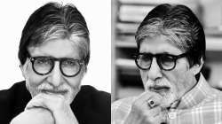 Amitabh Bachchan gives it in style to man who trolled him for plagiarizing a quote by Charles Darwin