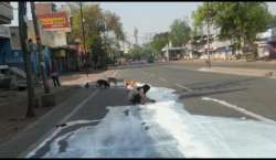 agra, man, milk, street, dogs