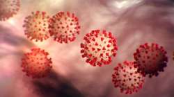 Scientists identify 8 strains of coronavirus