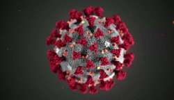 COVID-19: Fourth doctor tested positive for coronavirus in Delhi