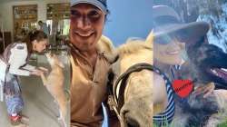 Madhuri Dixit, Randeep Hooda, Preity Zinta and other celebs shower love on furry friends on National