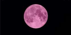 Super pink moon, pink moon, super moon, super pink moon india