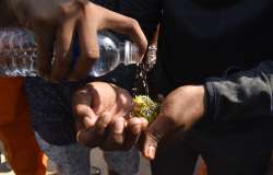 People pour water on a hatchling affected by a chemical gas leak in Vishakhapatnam, India, Thursday,