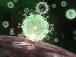 Novel coronavirus may infect human intestines as well: Study