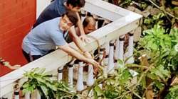 Sourav Ganguly displays his strength in fixing Mango tree uprooted by Cyclone Amphan