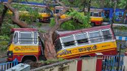 A bus ransacked by a fallen tree in the wake of Cyclone Amphan affecting the coastal parts of West Bengal