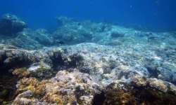 Oceans form around 70 per cent of the world's surface and help keep earth's temperature in check