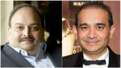 ED brings Nirav Modi, Mehul Choksi's jewellery worth Rs 1350 crore to India