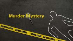 IP Extension murder mystery: Businessman plots own murder for insurance
 