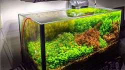 Vastu Tips: Never keep aquarium or any water show piece in South direction. Know why