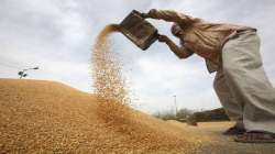 Govt's wheat procurement touches record high of 38.2 million tonnes