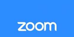 Despite concerns, Zoom sales boom amid COVID-19 pandemic