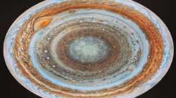 Jupiter or Dosa? Twitterati amazed at photo of planet shared by NASA