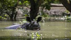 Kaziranga National Park, Assam Floods