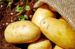 Vegetable prices pinch, potato sells at Rs 40/kg; blame it on monsoon and fuel prices