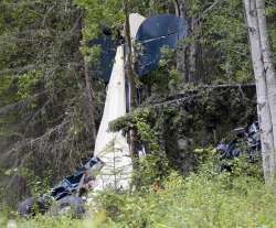 A plane rests in brush and trees after a midair collision outside of Soldotna, Alaska, on Friday, Ju