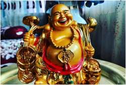 Vastu Tips: Keep this type of laughing Buddha at home for peace in family