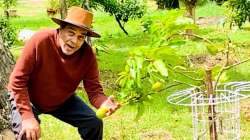 Dharmendra shares beautiful view of his garden