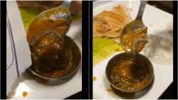 Muh se nikala hai yeh bite: Delhi man finds lizard in sambar at Saravana Bhavan restaurant, shares v