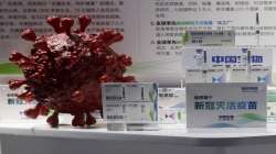 China coronavirus vaccine