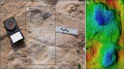 1,20,000-year-old human footprints 