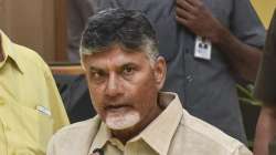 Former Andhra Pradesh Chief Minister and Telugu Desam Party (TDP) president N. Chandrababu Naidu