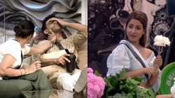 Bigg Boss 14 Episode 11 Oct 14 LIVE: Eijaz and Pavitra Punia's blooming romance to dramatic immunity