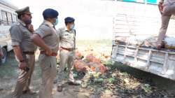 Ghaziabad: 650 kg cannabis worth Rs 1 crore seized 