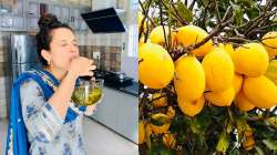 Kangana Ranaut relives her childhood memory with citron murabba: Know 5 health benefits of the fruit