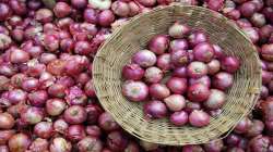 Goa govt to sell onions to ration card holders at Rs 32 per kg